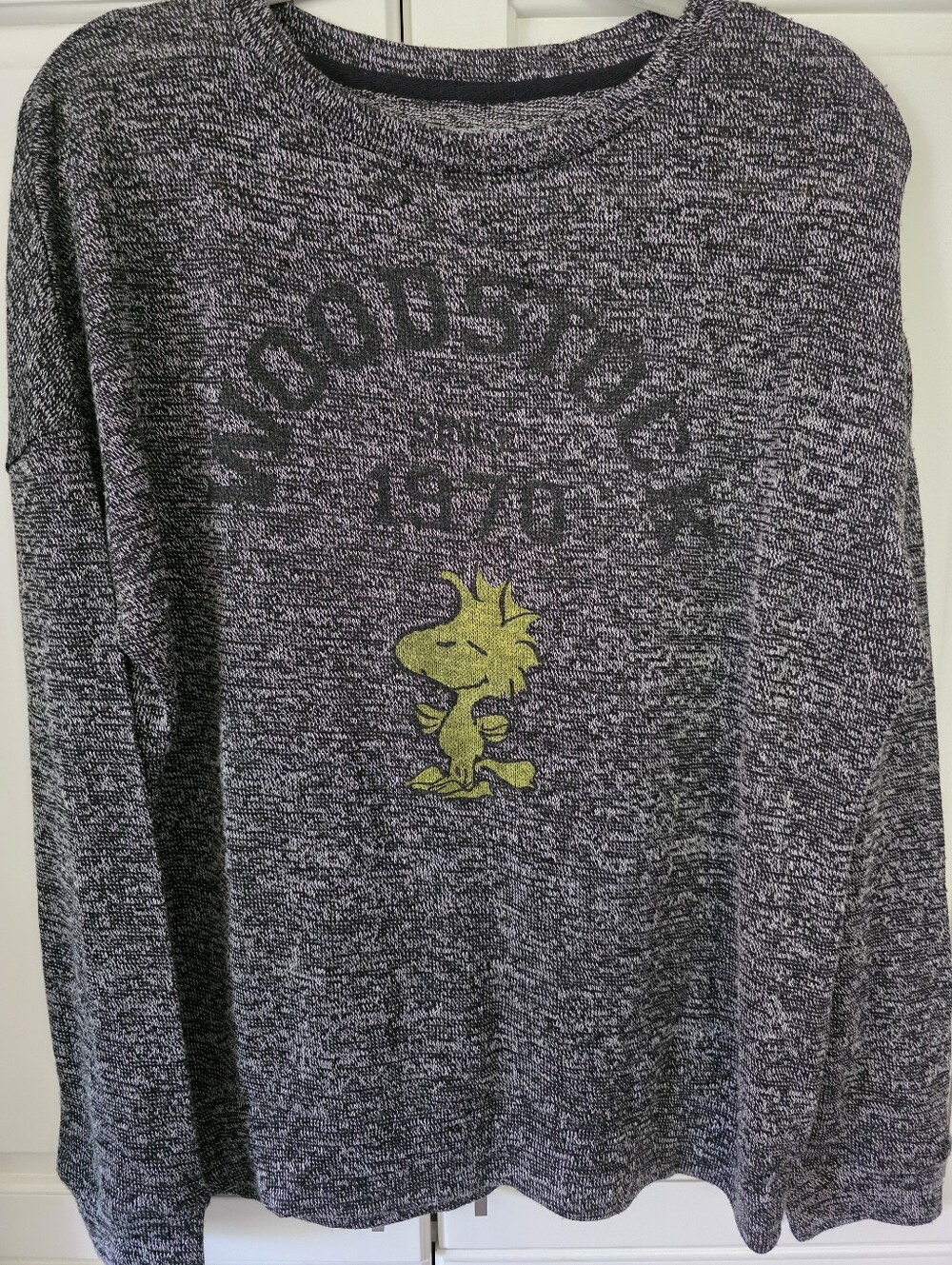 Peanuts Women's Long Sleeve Heather Gray Woodstock Graphic Tee Sz XL